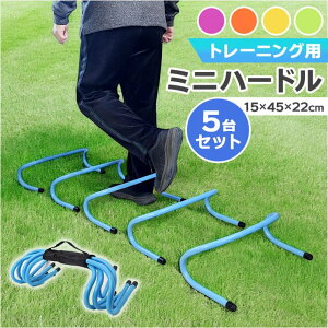 y10OFFN[|I12/11()1:59܂ŁzBACKYARD FAMILY g[jOp ~jn[h X|[c