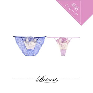 Dazzy Pi V[c pXe Z[it[ obN IׂV[c [Reinest] fB[X  Pi 傫TCY pc ZNV[WF[ Ci[ ^K \O tobN eB[