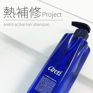 Areti Vv[ M _[WPA AeB q[gK[h Ă s1607 gCANeBu Areti wAPA