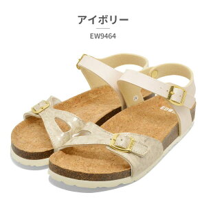 y10OFFN[|I12/11()1:59܂Łz GhEB EW9464 EDWIN RtH[g  V[YEC