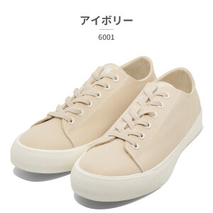  MOZ CV[Y fB[X 6001 Y CXj[J[  h V[YEC