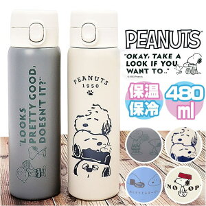 BACKYARD FAMILY LN^[ vbVXeX{g 480ml HELb`pi