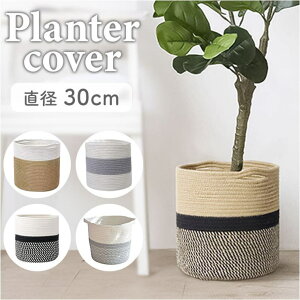 y10OFFN[|I11/11 ()1:59܂ŁzBACKYARD FAMILY v^[ Aؔ oXPbg QECeAG