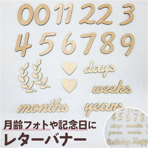 y10OFFN[|I11/11 ()1:59܂ŁzBACKYARD FAMILY ^[oi[ ؐ t@bVG