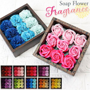 y10OFFN[|I12/11()1:59܂ŁzBACKYARD FAMILY tOX EfBt[U[ELh