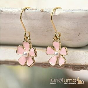 y10OFFN[|I12/11()1:59܂Łzlunolumo sAX fB[X   TN N  t[ sN t v[g 蕨 XeX316L PI ANZT[