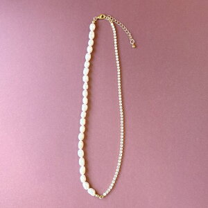 FACION Wp[Xg[`F[lbNXfB[X  IP[W W^ ^ w Ǝ  v[g ANZT[