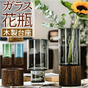 y10OFFN[|I11/27()1:59܂ŁzBACKYARD FAMILY KX ԕr  pmygrass08 QECeAG