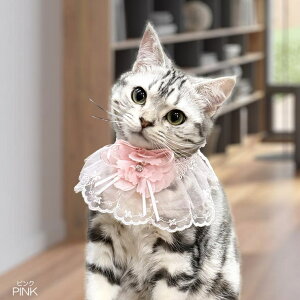 y10OFFN[|I12/11()1:59܂ŁzSneepDip yp033zt[ [XX^Ciybgpj t@bVG