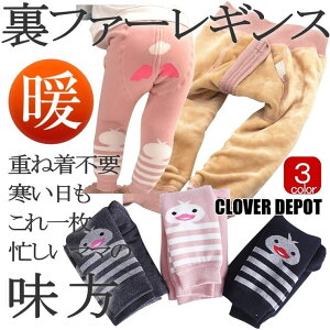CLOVERDEPOT xr[ ̎q j̎q  킢 q xr[ MX pc q Ԃ Y{ g   ۂۂY{ TG Wbp[Ypc upc ۈ