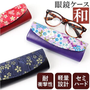 BACKYARD FAMILY Z~n[h aKlP[X 2195 