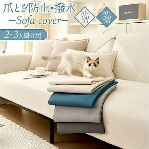 BACKYARD FAMILY \t@[Jo[ ͂ ܂Ƃh~ [EƋ