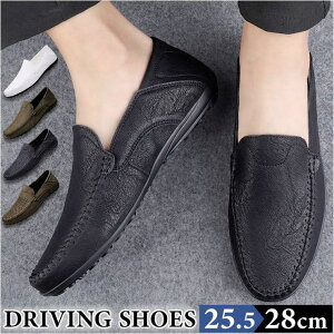 y10OFFN[|I12/11()1:59܂ŁzBACKYARD FAMILY hCrOV[Y Y V[YEC