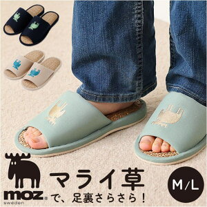 BACKYARD FAMILY moz 炳}CXbp QECeAG