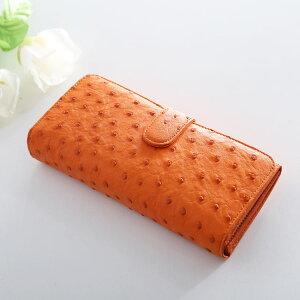 sankyo shokai Ԃz fB[X I[Xgb` {v e z J[h [ {v Xibv{^ J[h20J J g₷ ㎿ Ԃ v  tz Mtg v[g 4