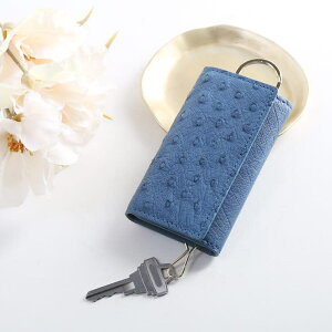 sankyo shokai I[Xgb` L[P[X fB[X  u[  L[O L[z_[ {v X}[gL[ i  킢 y y _炩 g₷ RpN