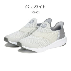y5OFFN[|I9/24()1:59܂Łz v[} jO Y fB[X \tgCh tbNX C[YC Ch jOV[Y 309902 01 03 04 PUMA Xb| ė 