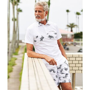 SHIFFON LUXEAKMPLUS NXGCPCGvX St `FXgpl|Vc z UVJbg Y   uh StEFA X|[cEFA GOLF gbvX