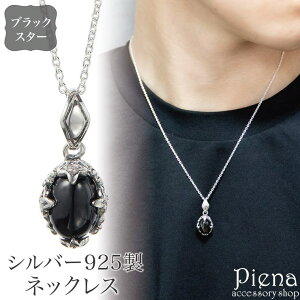 ANZT[VbvPIENA lbNX y_g Y fB[X Vo[925 ubNX^[ ̖ t[EhEX ɗD AM[Ή 킢  