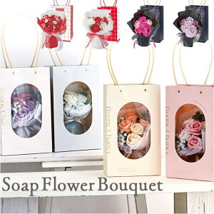 BACKYARD FAMILY t[obO\[vt[u[P {fBEnhEtbgPA