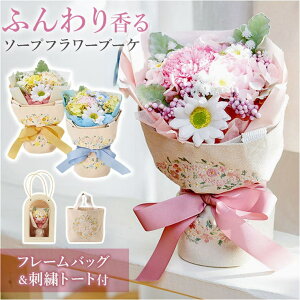 BACKYARD FAMILY g[gobOt \[vt[u[P {fBEnhEtbgPA