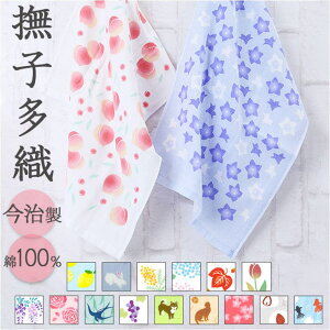 BACKYARD FAMILY qD oXEgCE|