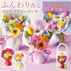 BACKYARD FAMILY y[|bv\[vt[u[P {fBEnhEtbgPA