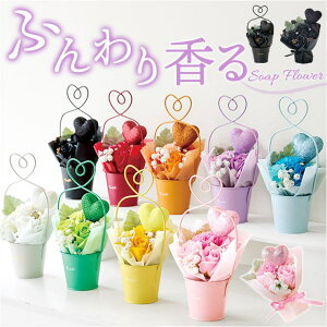 BACKYARD FAMILY n[guL\[vt[ {fBEnhEtbgPA