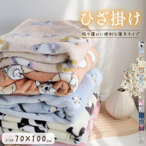 AmiAmi �h�� �Ђ��|�� �u�����P�b�g ����