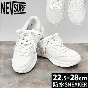 y10OFFN[|I12/11()1:59܂ŁzBACKYARD FAMILY nev SURF hXj[J[ V[YEC