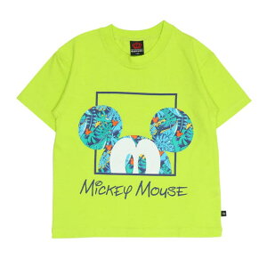 y10OFFN[|I12/11()1:59܂ŁzBABYDOLL eq fBYj[ ][gTVc 0546K gbvX