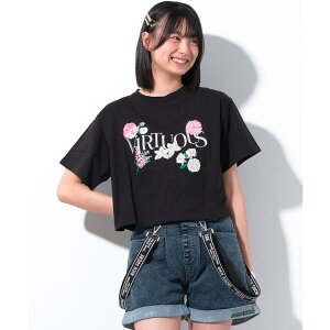 y10OFFN[|I12/11()1:59܂Łzqǂ SHUSHU ShJt[vgTVc gbvX  q ̎q w w t@bV K[Y LbY WjA ؍q l