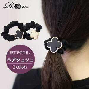 y10OFFN[|I11/27()1:59܂ŁzBACKYARD FAMILY N[o[LbYpVV wAANZT[