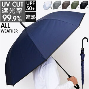 y10OFFN[|I11/11 ()1:59܂ŁzBACKYARD FAMILY EVA 65cm I[EFU[ P 