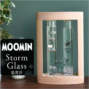 y10OFFN[|I11/11 ()1:59܂ŁzBACKYARD FAMILY [~ xvXg[OX QECeAG