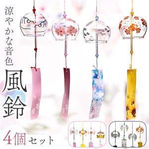 y10OFFN[|I12/11()1:59܂ŁzBACKYARD FAMILY  4Zbg mmwc44a QECeAG