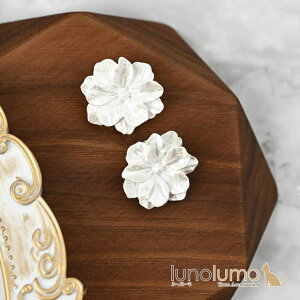 lunolumo CO fB[X  t[  zCg 傫   v[g E ANZT[