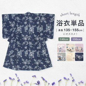 y10OFFN[|I11/27()1:59܂ŁzBiSOU  Pi LbY nCWjA ̎q fB[X x[W AC{[ O[    KN ԕ ݃J[  g~D   140cm 15