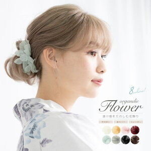 y10OFFN[|I12/11()1:59܂ŁzSOUBIEN    t[   I[KW[ ߌ JWA  sN   O[  uE a Ԃ 傢 wAANZT