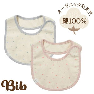 BACKYARD FAMILY I[KjbNݓVX^CEvg xr[