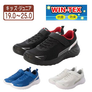 y10OFFN[|I11/27()1:59܂ŁzK's PLUS LbY Xj[J[ ^C ʊwC XN[V[Y jOV[Y bV RۖhL y j̎q ̎q fB[X jp xm_25874 V