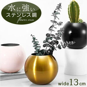 BACKYARD FAMILY   A ԕr QECeAG