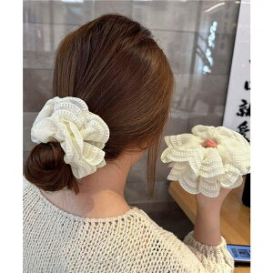 SUNSHINE CLOSET {[[XVV ؍wAS wAANZT[