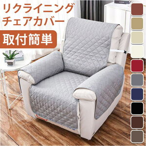 BACKYARD FAMILY \t@[Jo[ NCjO`FAJo[ l| jdcv2162 [EƋ