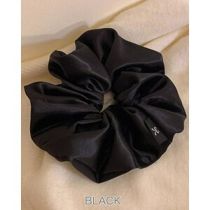 RAKUku VV Te wA 傫 TCY ؊ wAANZT[ |j[e[ S wAANZT[