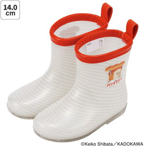 Skater C LbY q 14cm  LN^[ Cu[c [Jbg skater XP[^[ RIBT14 pǂڂ Hς G{L j̎q ̎qy2 3 ˃e[vt Ȃ J J