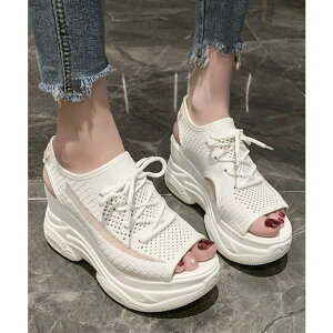 Miniministore I[vgDX|[eB[T_ C V[YEC