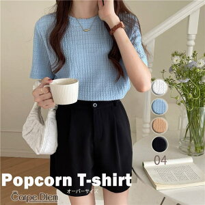 y10OFFN[|I11/27()1:59܂ŁzCarpe diem ̊TVc gbvX T |bvR[ tVc  ؍ I[o[TCY ꂢ ItBX ĕ 10 t LN^[   gh V