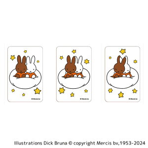 y10OFFN[|I12/11()1:59܂ŁzBACKYARD FAMILY ~btB[ ܂SݓXNAJ[h(9) [