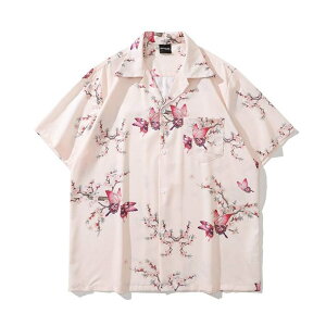 y10OFFN[|I12/11()1:59܂ŁzDecorative Vc o^tC o^tC   傤 ԕ  t[ _ _  a   ̉ sN xr[sN  V